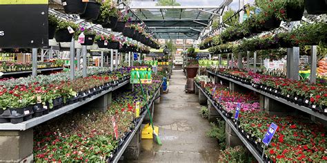 Home depot gardening plants - Get free shipping on qualified Vegetables products or Buy Online Pick Up in Store today in the Outdoors Department.